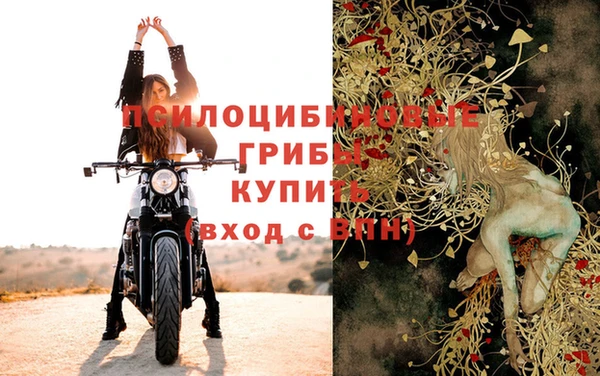 стафф Арсеньев
