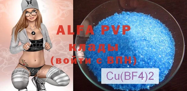 стафф Арсеньев