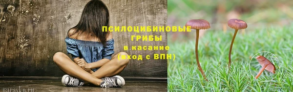 ГАЛЛЮЦИНОГЕННЫЕ ГРИБЫ Армянск