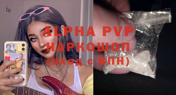 стафф Арсеньев